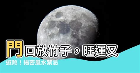 門口放竹子|【門口擺開運竹旺財運？風水大師教你擺法】